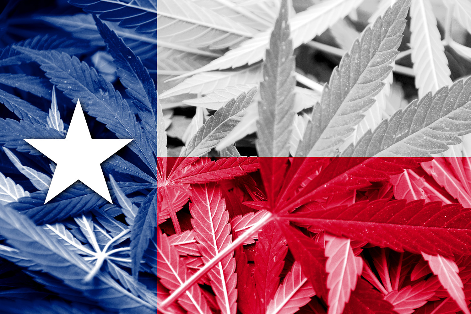 What Is the Texas Compassionate Use Program? Texas Medical Marijuana